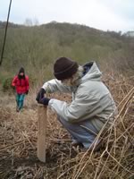 Flass Vale Tree Planting