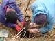 Tree  Planting