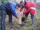 Flass Vale Tree Planting
