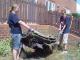 NE1 Garden Projects - Day Four