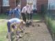NE1 Garden Projects - Day Five