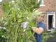 Further Gardening Adventures